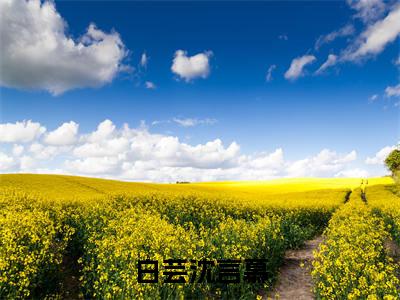 白芸沈言慕全文免费阅读无弹窗大结局_(白芸沈言慕小说)白芸沈言慕无弹窗最新章节列表