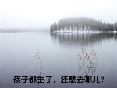 沈今姒顾云铮（孩子都生了，还想去哪儿？）全文免费阅读无弹窗大结局_孩子都生了，还想去哪儿？小说最新章节列表_笔趣阁（沈今姒顾云铮）