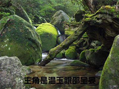 温玉眠邵呈晏大结局无广告 热门小说温玉眠邵呈晏全集免费阅读