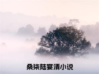 桑柒陆宴清(桑柒陆宴清)全文免费阅读无弹窗大结局_桑柒陆宴清全文阅读_笔趣阁（桑柒陆宴清）