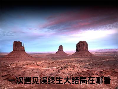 许见月雷易（一次遇见误终生）全文免费阅读无弹窗大结局_一次遇见误终生全文在线阅读