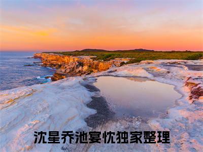 沈星乔池宴忱（沈星乔池宴忱）全文免费阅读无弹窗大结局_沈星乔池宴忱全文免费阅读（沈星乔池宴忱）最新章节列表_笔趣阁（沈星乔池宴忱）