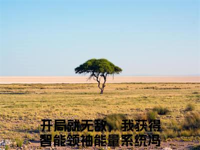 热点小说开局就无敌，我获得智能领袖能量系统冯奕程，开局就无敌，我获得智能领袖能量系统冯奕程免费章节阅读