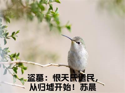 盗墓：恨天氏遗民，从归墟开始！苏晨（盗墓：恨天氏遗民，从归墟开始！苏晨）小说全文免费阅读无弹窗大结局_（盗墓：恨天氏遗民，从归墟开始！苏晨）盗墓：恨天氏遗民，从归墟开始！苏晨最新章节列表笔趣阁（盗墓：恨天氏遗民，从归墟开始！苏晨）