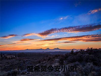 盛希贺今安（盛希贺今安）全文免费阅读大结局-盛希贺今安小说全文免费阅读最新章节列表