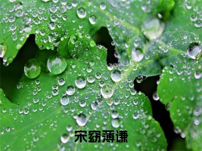 宋窈薄谦小说（宋窈薄谦）全文免费阅读无弹窗大结局_宋窈薄谦小说最新章节列表_笔趣阁（宋窈薄谦）