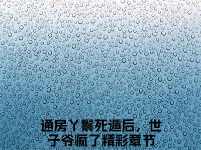 通房丫鬟死遁后，世子爷疯了（木槿纪玄）全文免费阅读无弹窗大结局_通房丫鬟死遁后，世子爷疯了（木槿纪玄）小说全文免费阅读最新章节列表