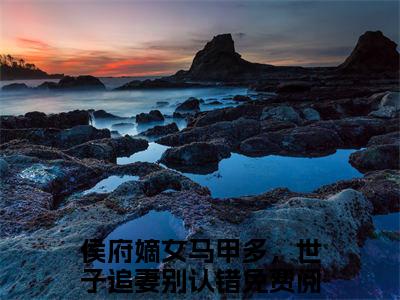 沈钰谢承渊小说（侯府嫡女马甲多，世子追妻别认错）免费阅读全文无弹窗大结局_侯府嫡女马甲多，世子追妻别认错免费阅读无弹窗小说_小说笔趣阁
