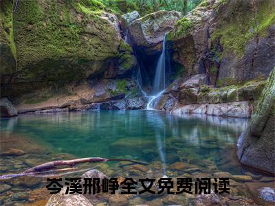 岑溪邢峥免费小说 岑溪邢峥在线阅读