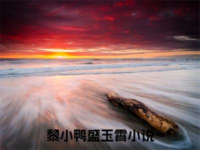 小可怜被偷人生，顶级豪门来团宠（黎小鸭盛玉霄最新全章节大结局）全文阅读-小可怜被偷人生，顶级豪门来团宠黎小鸭盛玉霄在线小说免费阅读