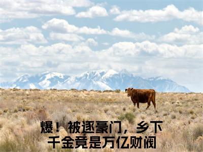 爆！被逐豪门，乡下千金竟是万亿财阀（唐繁霍寒凛）全文免费阅读无弹窗大结局_唐繁霍寒凛最新章节列表（爆！被逐豪门，乡下千金竟是万亿财阀）