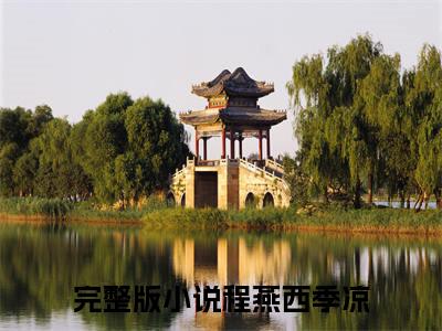 小说程燕西季凉完整版在线阅读 带球跑后，她被隐婚老公缠上了精选小说推荐试读