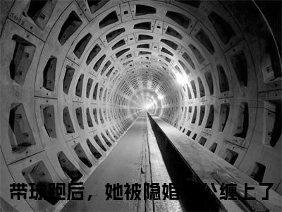 程燕西季凉全文（带球跑后，她被隐婚老公缠上了）全文免费阅读无弹窗大结局_带球跑后，她被隐婚老公缠上了全文最新章节列表