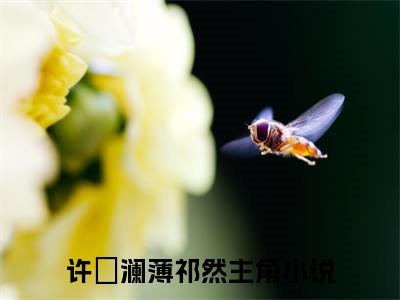 许祎澜薄祁然免费小说 许祎澜薄祁然在线阅读免费大结局