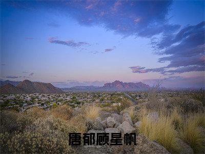 唐郁顾星帆（唐郁顾星帆txt）全文免费阅读无弹窗大结局_唐郁顾星帆最新章节列表_笔趣阁（唐郁顾星帆txt）