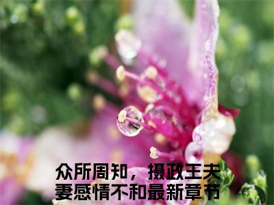 沈止邢谢时青全文无弹窗阅读众所周知，摄政王夫妻感情不和大结局全文免费