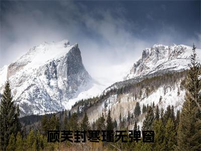 顾芙封寒瑾完整章节阅读-顾芙封寒瑾全文试读