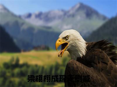 梁栩栩成琛全文免费阅读无弹窗大结局-梁栩栩成琛全文在线阅读