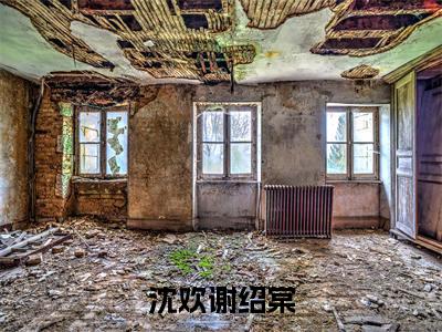 沈欢谢绍棠（沈欢谢绍棠）全文免费阅读无弹窗大结局_沈欢谢绍棠全文免费阅读（沈欢谢绍棠）最新章节列表_笔趣阁（沈欢谢绍棠）