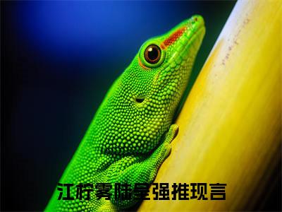 江柠雾陆呈精彩热门小说_江柠雾陆呈小说全文免费阅读_最新章节列表_笔趣阁