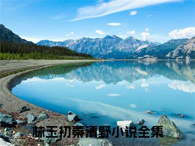 林玉初秦清野（林玉初秦清野）全文免费阅读无弹窗大结局_（林玉初秦清野无弹窗）全文完整版免费阅读