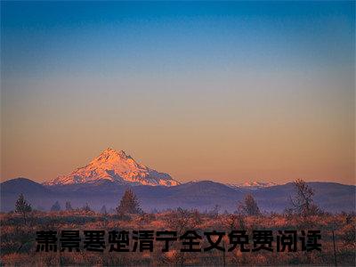 重生后，我将自家驸马抵在榻前全文免费大结局-萧景寒楚清宁结局在线阅读