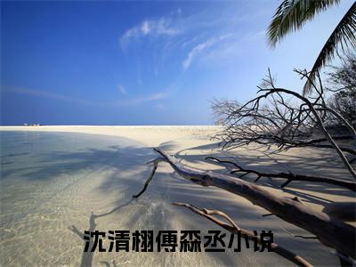 沈清栩傅森丞(沈清栩傅森丞)全文免费阅读_沈清栩傅森丞全文阅读_笔趣阁