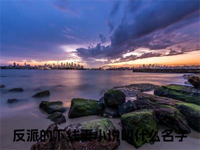 程霁月封晚舟（反派的下线妻）免费小说-主角反派的下线妻全文在线完本阅读笔趣阁