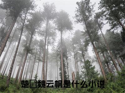 楚楽魏云帆（楚楽魏云帆）全文小说完整版-（楚楽魏云帆）楚楽魏云帆全文无删减免费阅读