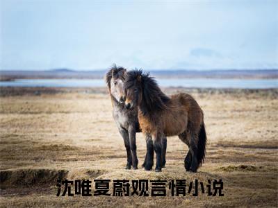 沈唯夏蔚观小说全文免费阅读（沈唯夏蔚观）全文免费阅读无弹窗_沈唯夏蔚观小说全文免费阅读_笔趣阁