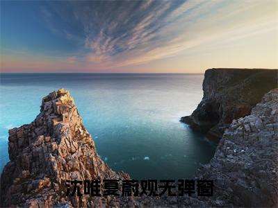 沈唯夏蔚观小说（夏蔚观沈唯）全文免费阅读无弹窗大结局_沈唯夏蔚观小说最新章节列表