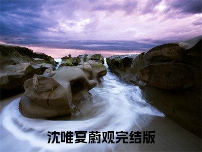 沈唯夏蔚观(沈唯夏蔚观)全文在线阅读无弹窗大结局_沈唯夏蔚观全文无弹窗最新章节列表