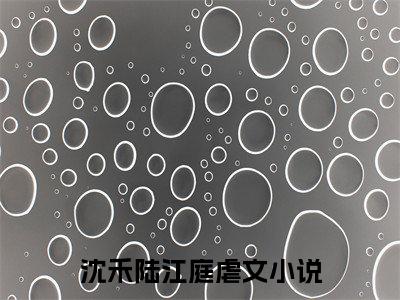 沈禾陆江庭（沈禾陆江庭）精彩热门小说_（沈禾陆江庭）沈禾陆江庭最新章节列表_笔趣阁