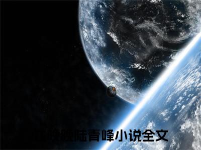 江晚晚陆青峰(八零小神医，错撩最猛糙汉)全文免费阅读无弹窗大结局_江晚晚陆青峰最新章节列表