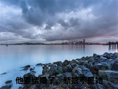童轻柠沈彦庭全文免费阅读无弹窗(小说全文免费阅读)他要结婚了，新娘不是她最新章节列表