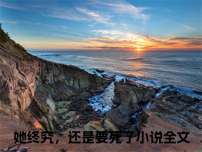 她终究，还是要死了（沈清烟齐豫白）全文免费阅读无弹窗大结局_她终究，还是要死了全文免费阅读