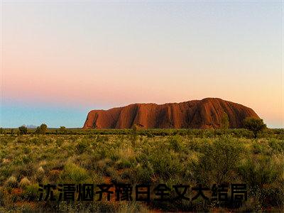 她终究，还是要死了小说全文免费阅读大结局-沈清烟齐豫白最新章节列表免费阅读