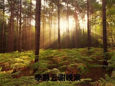 季慕云谢晚棠小说全文免费阅读 季慕云谢晚棠小说全文在线赏析_笔趣阁