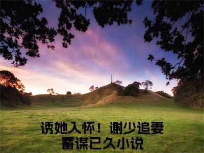 诱她入怀！谢少追妻蓄谋已久（谢策温迎）全文免费阅读无弹窗大结局_谢策温迎（诱她入怀！谢少追妻蓄谋已久无弹窗）_笔趣阁