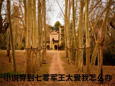 主角是穿到七零军王太爱我怎么办的小说叫什么名字苏念安齐骁-老书虫书荒推荐热点小说苏念安齐骁（穿到七零军王太爱我怎么办）