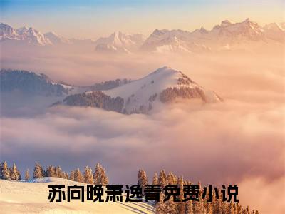 苏向晚萧逸青免费阅读最新章节列表_笔趣阁