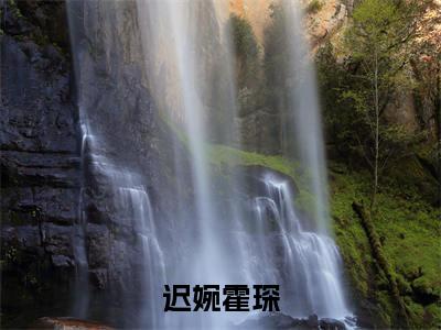 迟婉霍琛在线阅读（迟婉霍琛）全文免费阅读无弹窗大结局_迟婉霍琛精选免费小说