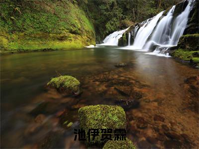 池伊贺霖高质量小说推荐阅读-池伊贺霖（池伊贺霖）小说最新章节