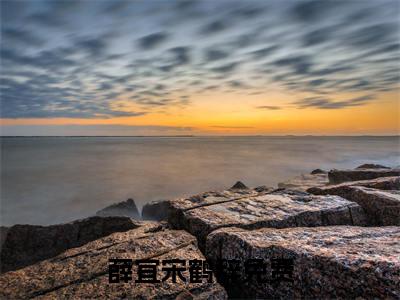 薛宜宋鹤辞全文阅读-薛宜宋鹤辞小说全文免费阅读_薛宜宋鹤辞最新章节列表_笔趣阁