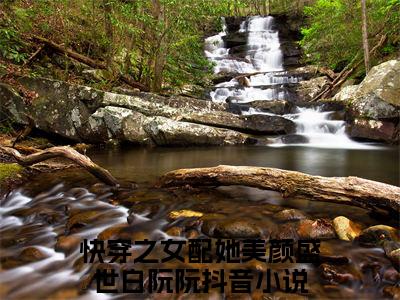 快穿之女配她美颜盛世白阮阮正版小说最新章节在线阅读-（快穿之女配她美颜盛世白阮阮）全文无弹窗阅读