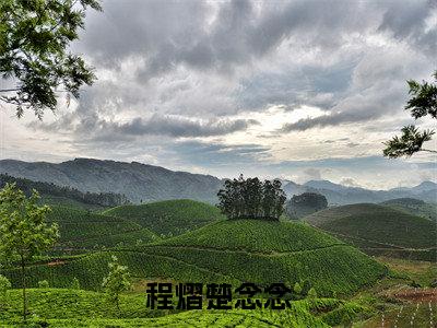 程熠楚念念小说（穿到七零当知青，被恋爱脑糙汉宠上天）免费阅读-穿到七零当知青，被恋爱脑糙汉宠上天（程熠楚念念）全章节最新阅读