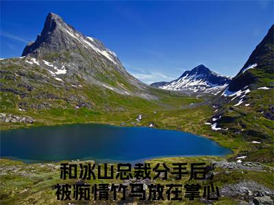 祁煜孟唯栀小说全文免费阅读无弹窗大结局_（和冰山总裁分手后，被痴情竹马放在掌心宠免费阅读无弹窗）最新章节列表_笔趣阁