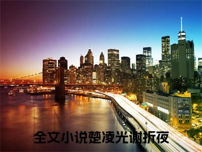 楚凌光谢折夜（楚凌光谢折夜）抖音热推小说全集无删减_楚凌光谢折夜最新章节列表_笔趣阁