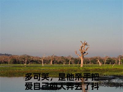 多可笑，是他亲手把爱自己的人弄丢了新书穆泱泱楚思珩看全文小说-多可笑，是他亲手把爱自己的人弄丢了小说资源阅读穆泱泱楚思珩