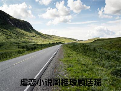 周稚瑷顾廷琛小说免费阅读-精选周稚瑷顾廷琛小说大结局阅读